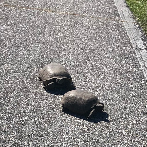 Meet your Posher, Ashley - Picture 1 of 1